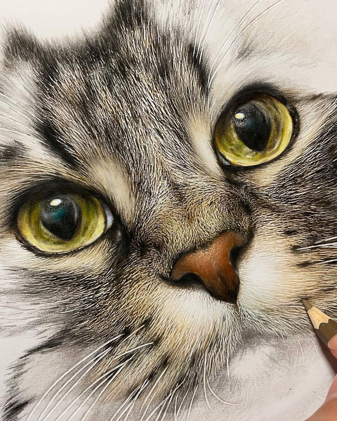 Este artista crea dibujos hiperrealistas de gatos curiosos y adorables