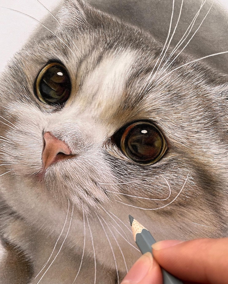 Feline Faces Get a CloseUp in Amazing Hyperrealistic Drawings