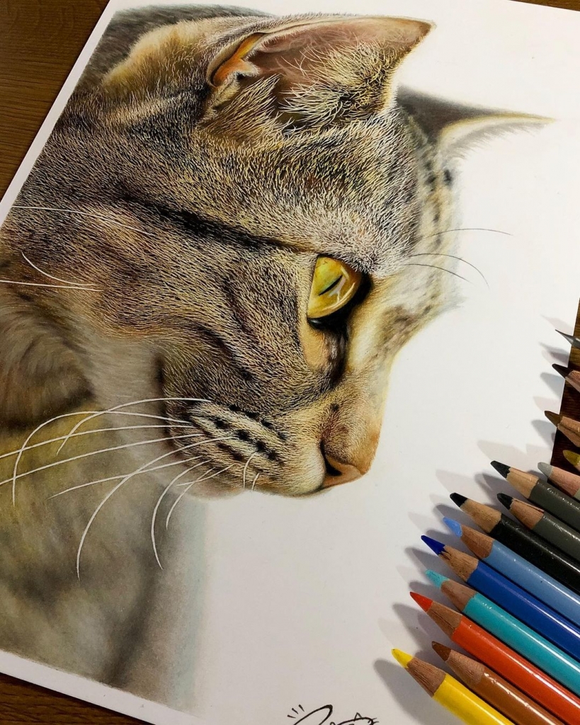 Este Artista Crea Dibujos Hiperrealistas De Gatos Curiosos Y Adorables 