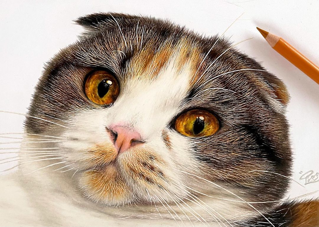 Hyperrealistic Cat Drawings by Haruki Kudo