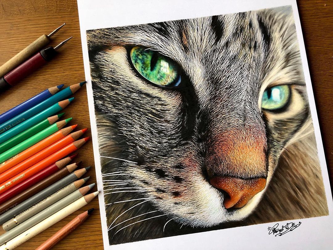 dibujos de gatos realistas por Haruki Kudo