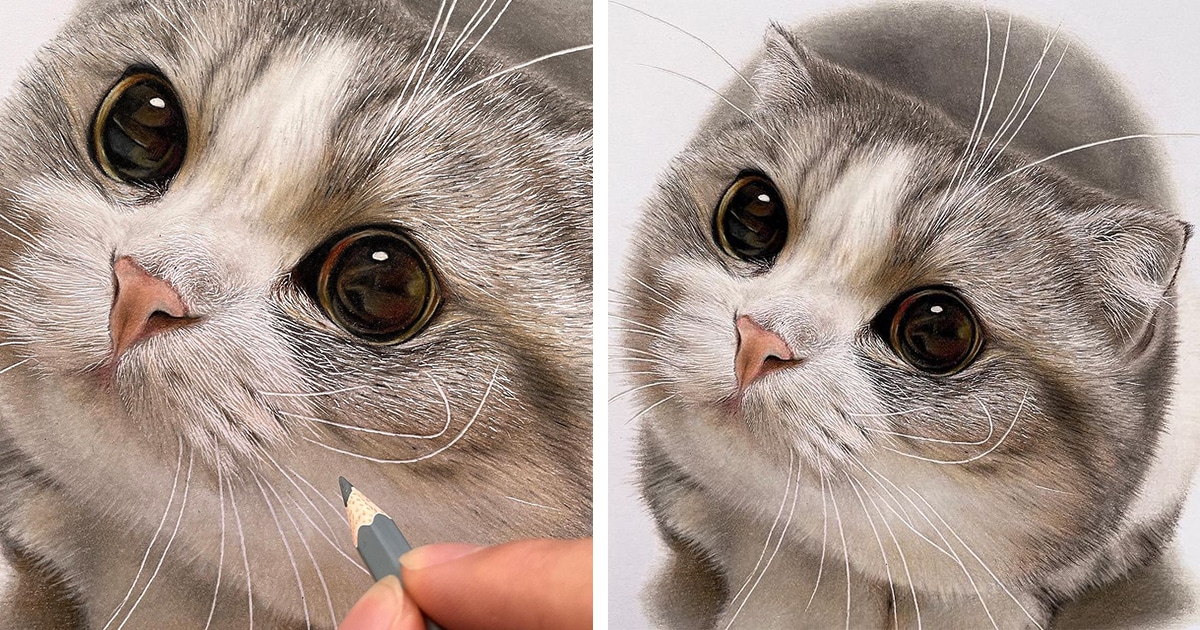realistic cat face drawings