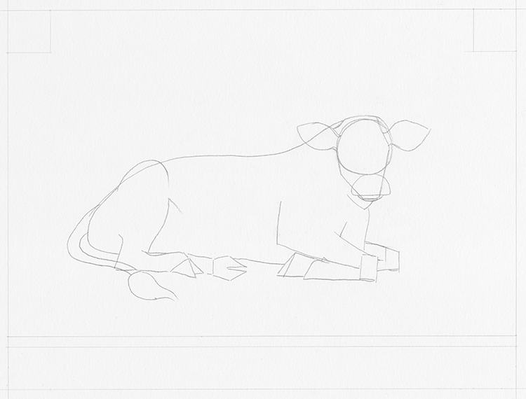 How to Draw a Cow