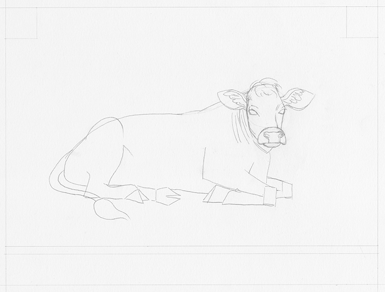 Learn How to Draw Cow And Young Calf Farm Animals Step by Step  Drawing  Tutorials