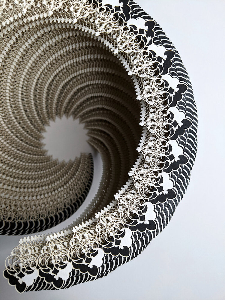 Symbio Vessels Intricate Laser Cut Paper Forms by Ibbini Studios