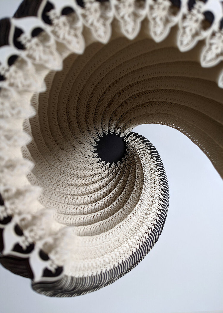 Symbio Vessels Intricate Laser Cut Paper Forms by Ibbini Studios