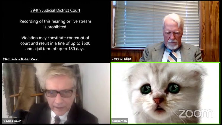 Lawyer Accidentally Joins Zoom Call with Kitten Filter
