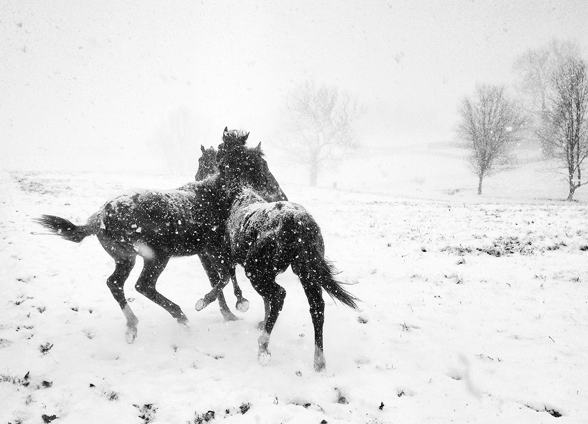 fotografía artística por Alessandra Manzotti