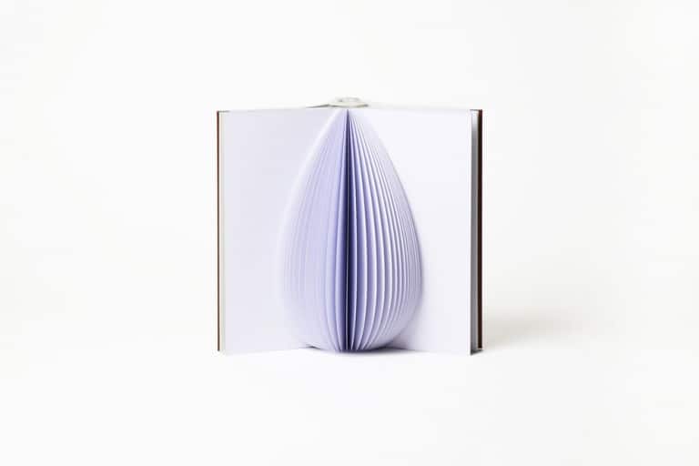 Floral Book Vase Reveals Elegant Silhouettes When Opened