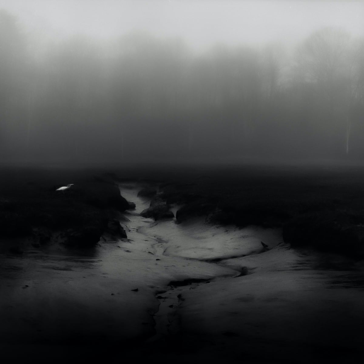 Fore River by Jon Tobiasz