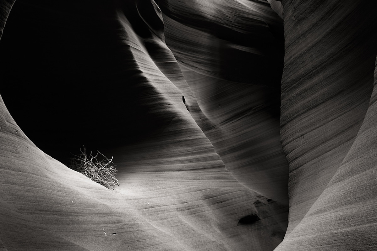 Secret Canyon by Blake Enting