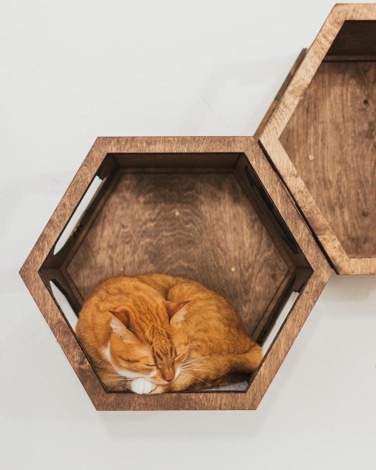 Cat Wall Furniture by Catsmode