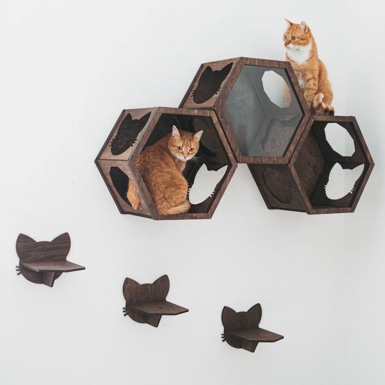 Wooden Cat Wall Furniture Provides A, How To Build Your Own Cat Shelves