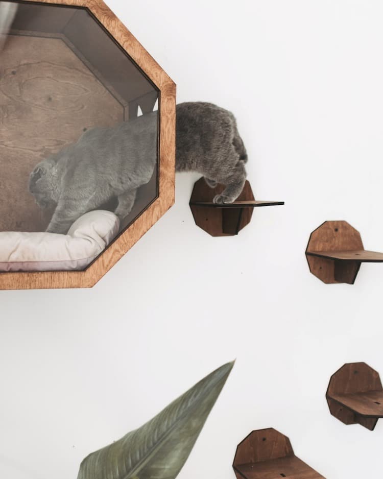 Cat Wall Furniture by Catsmode