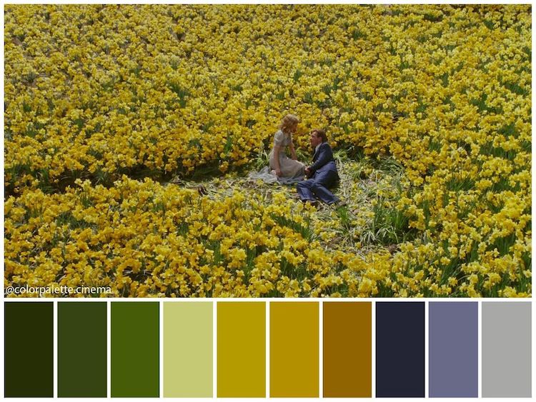 Color Palette Cinema