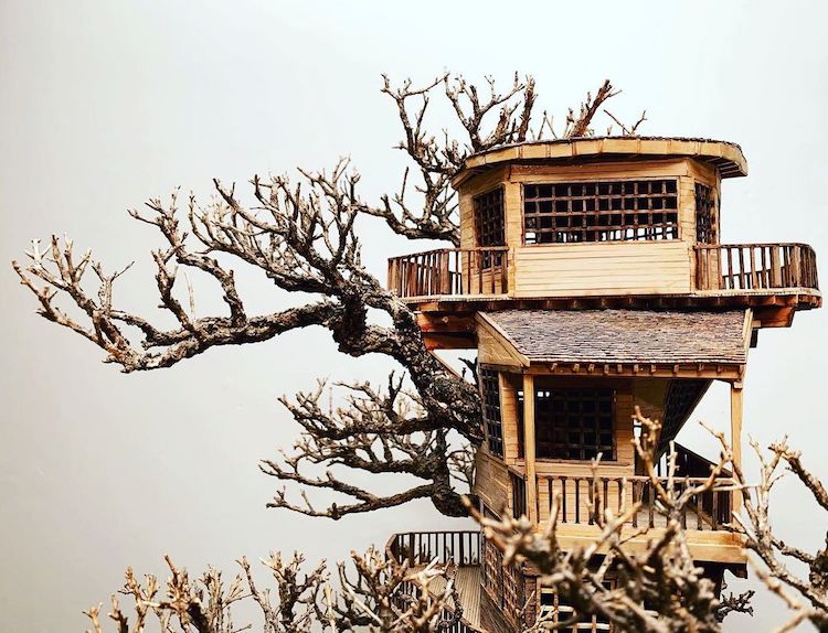 Bonsai Treehouses by Dave Creek