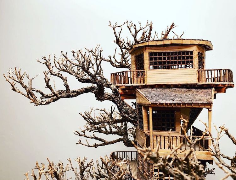 Casas del árbol en miniatura por Dave Creek