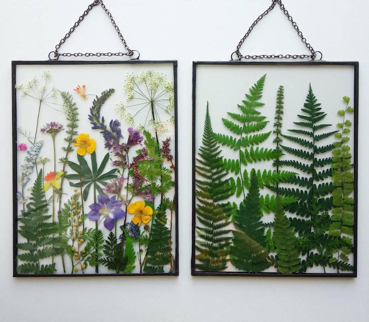 Pressed Flower Art of Dried Flower. Flower Wall Art, Flower