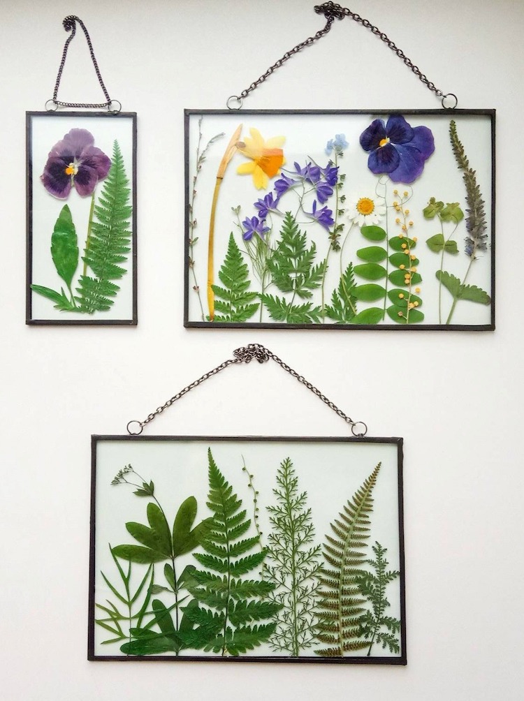 Stained Glass Frame, Pressed Flower Frame, Pressed Plant Frame