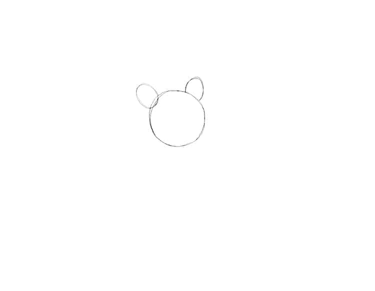 tutorial cómo dibujar un panda