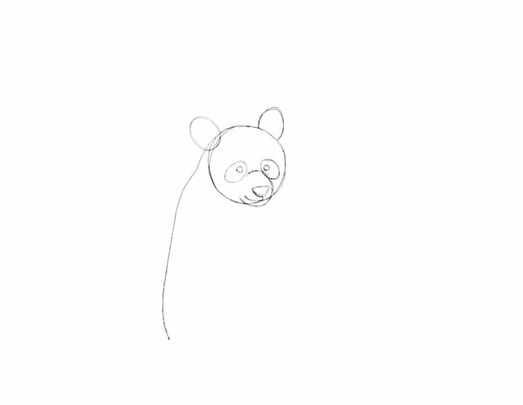 tutorial cómo dibujar un panda