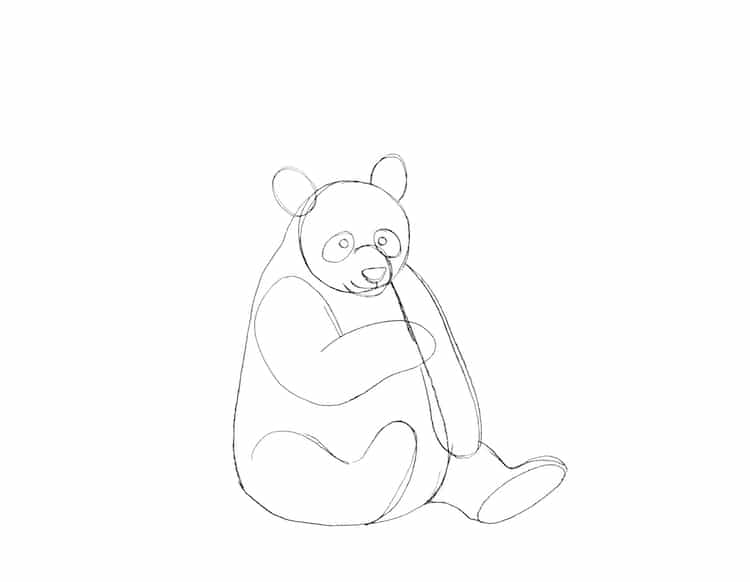 tutorial cómo dibujar un panda