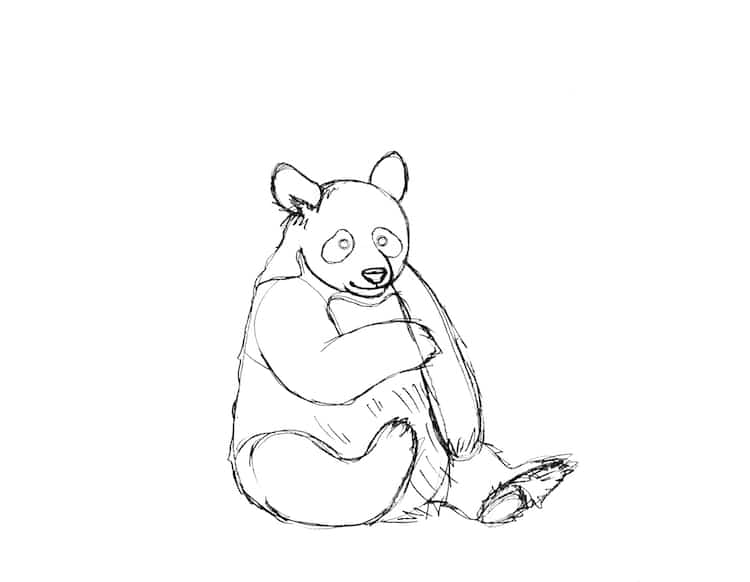 panda sitting drawing