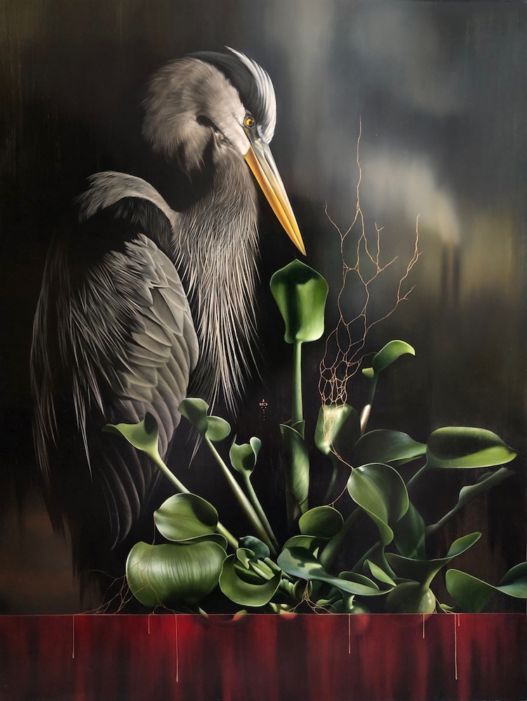 Pinturas realistas de aves por Josie Morway