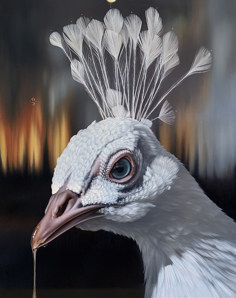 Pinturas de aves por Josie Morway