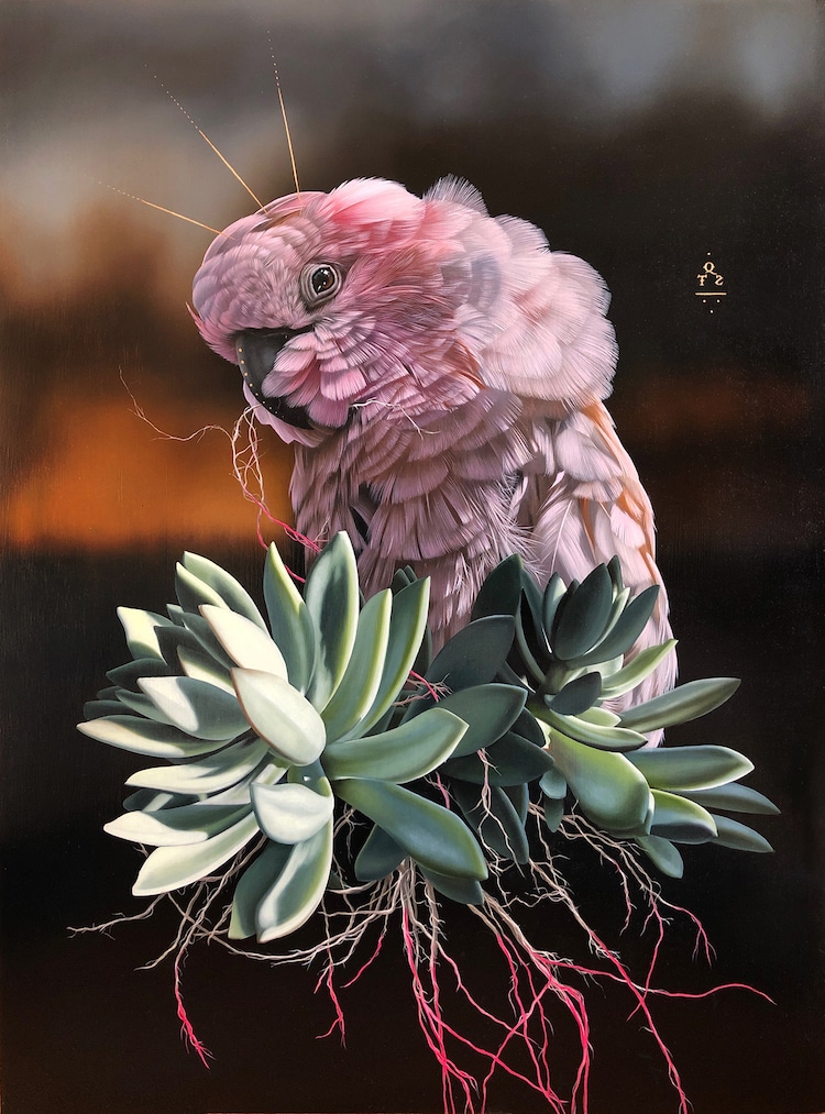 Pinturas realistas de aves por Josie Morway