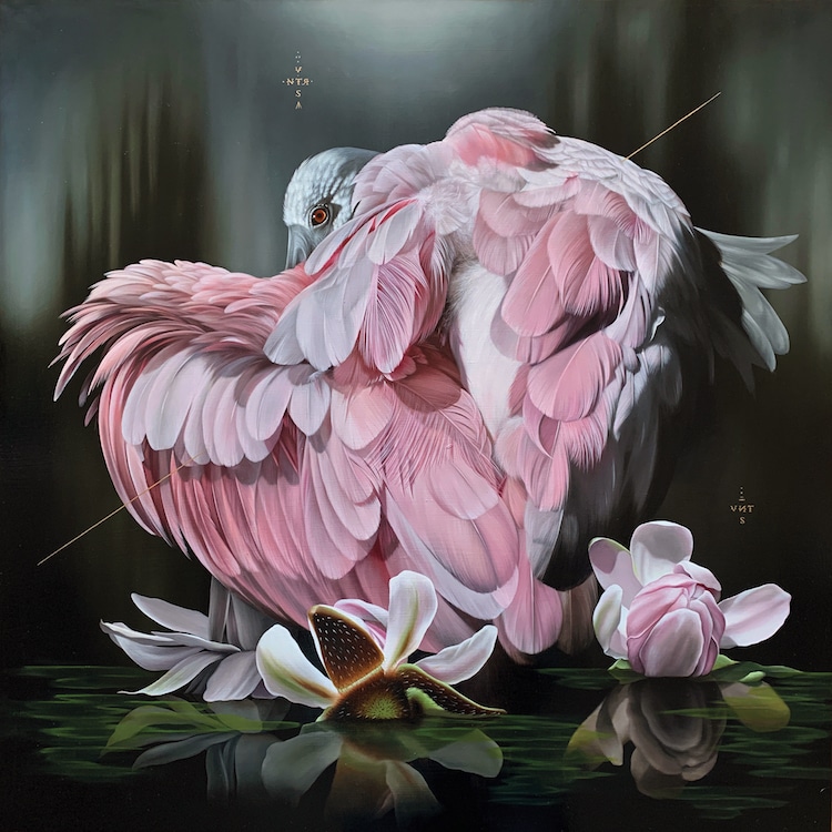 Bird Paintings by Josie Morway