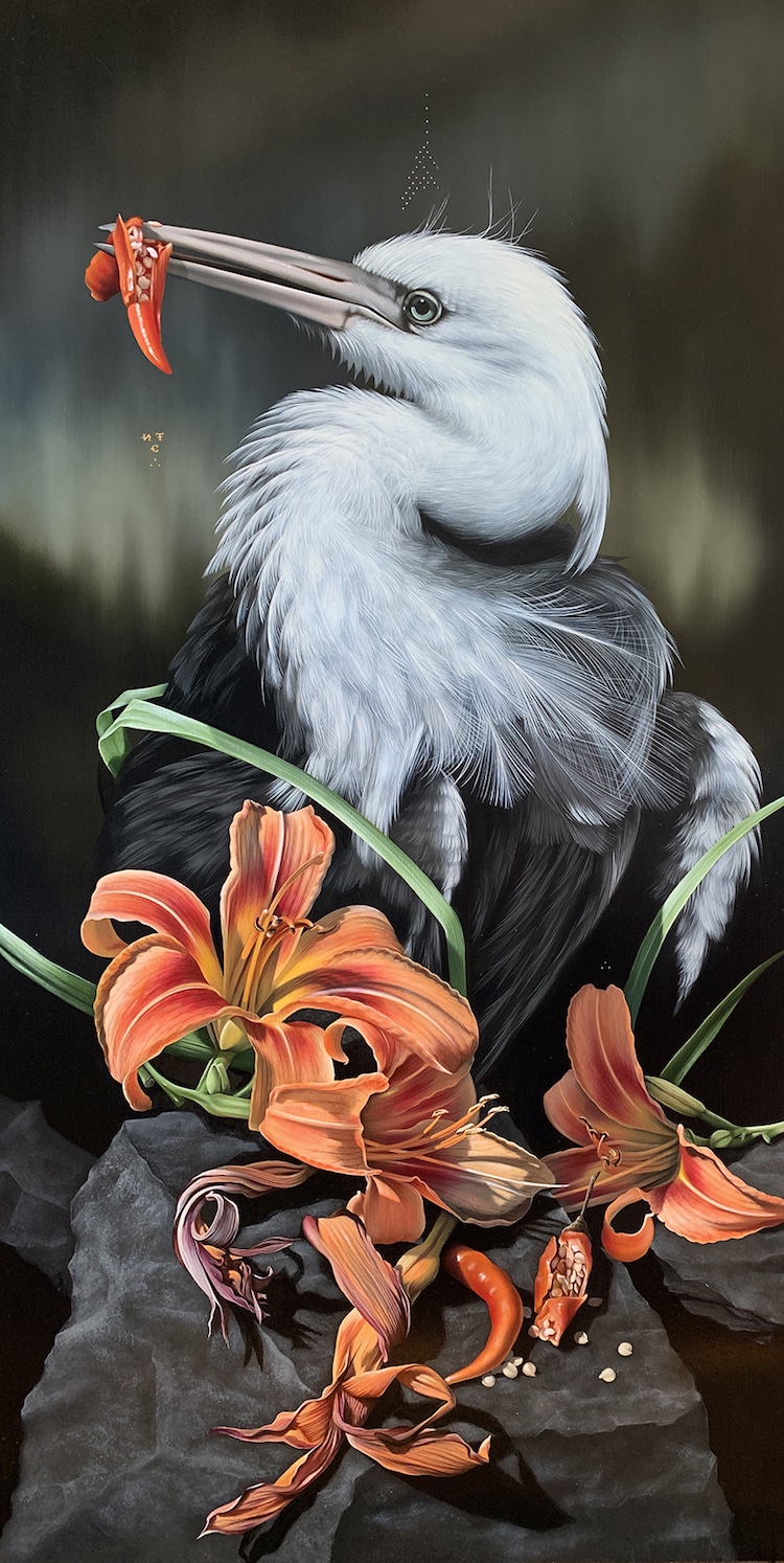 Pinturas de aves por Josie Morway