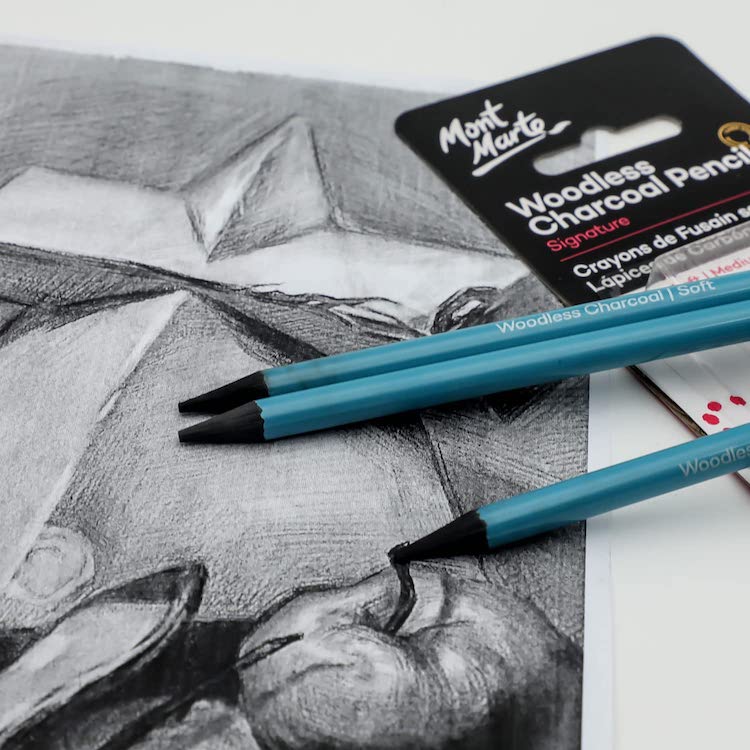 Best Charcoal Sketch Sets for Drawing –