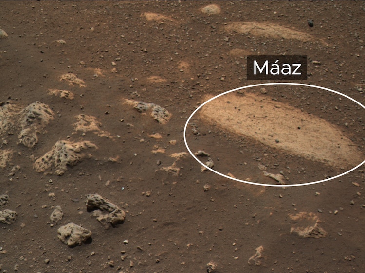 Nasa Perseverance Rover on Mars