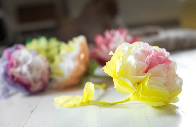 Tissue Paper Flowers