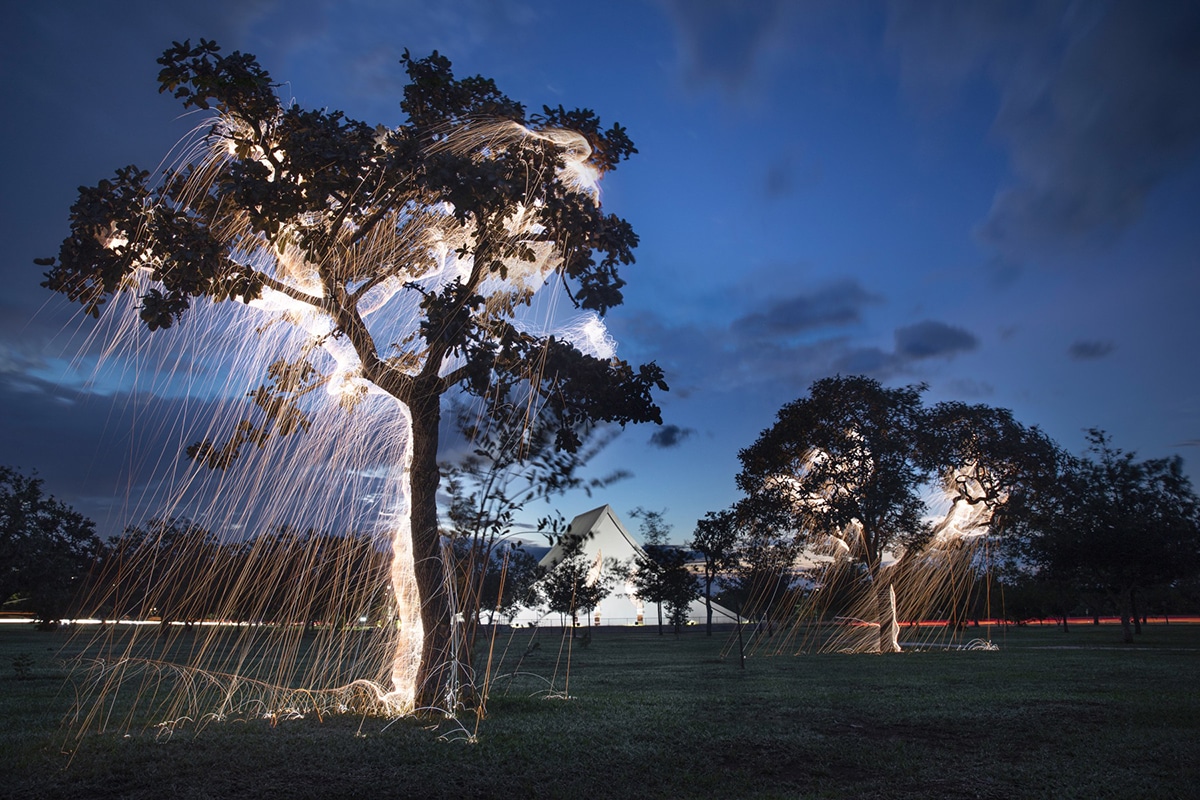 Vitor Schietti Light Painting Nature Photography