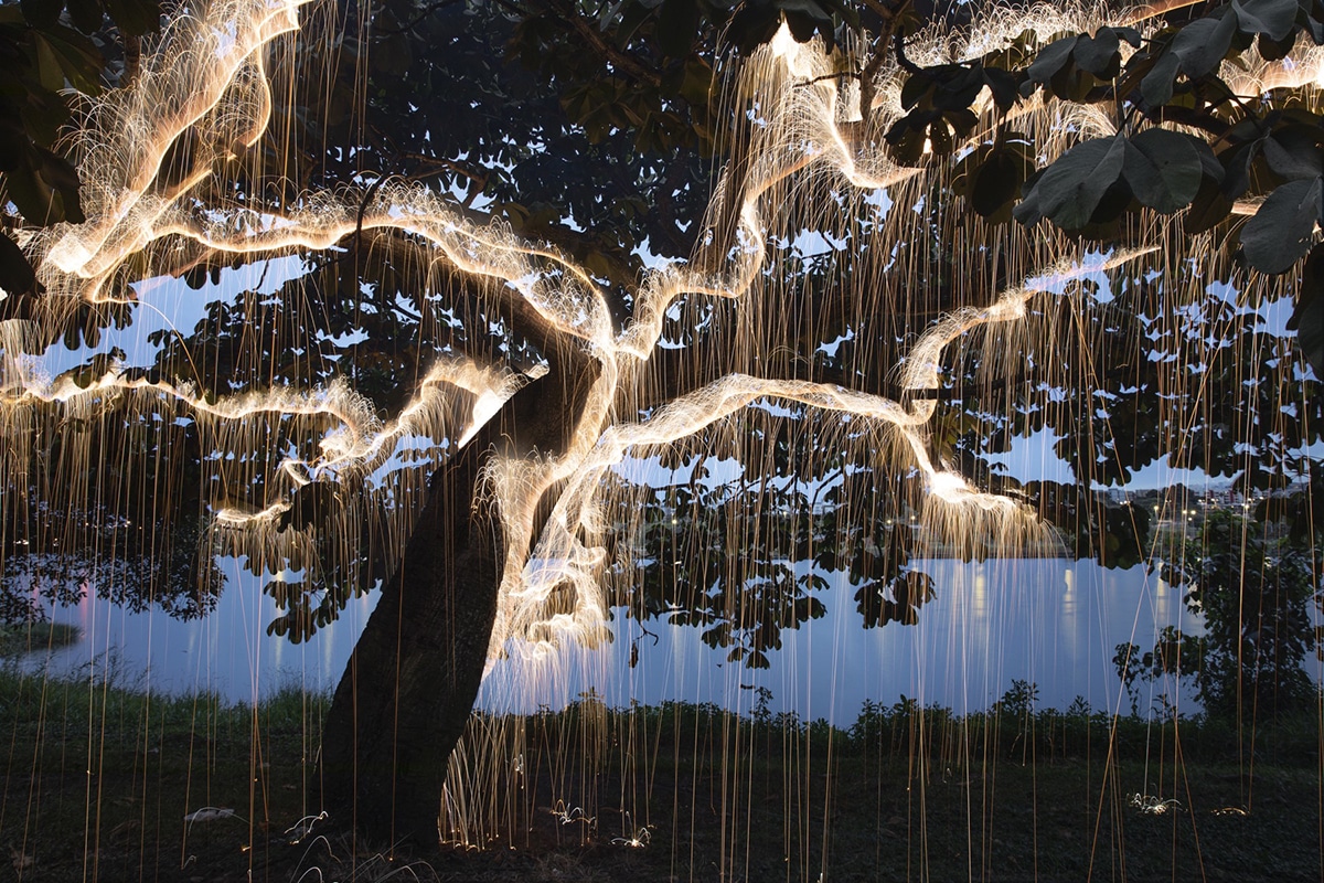 Light Painting Nature Photography