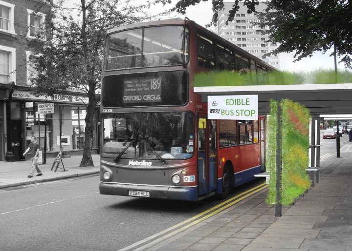 Designers Use “Guerilla Greening” to Transform Cities into Vibrant Urban Forests