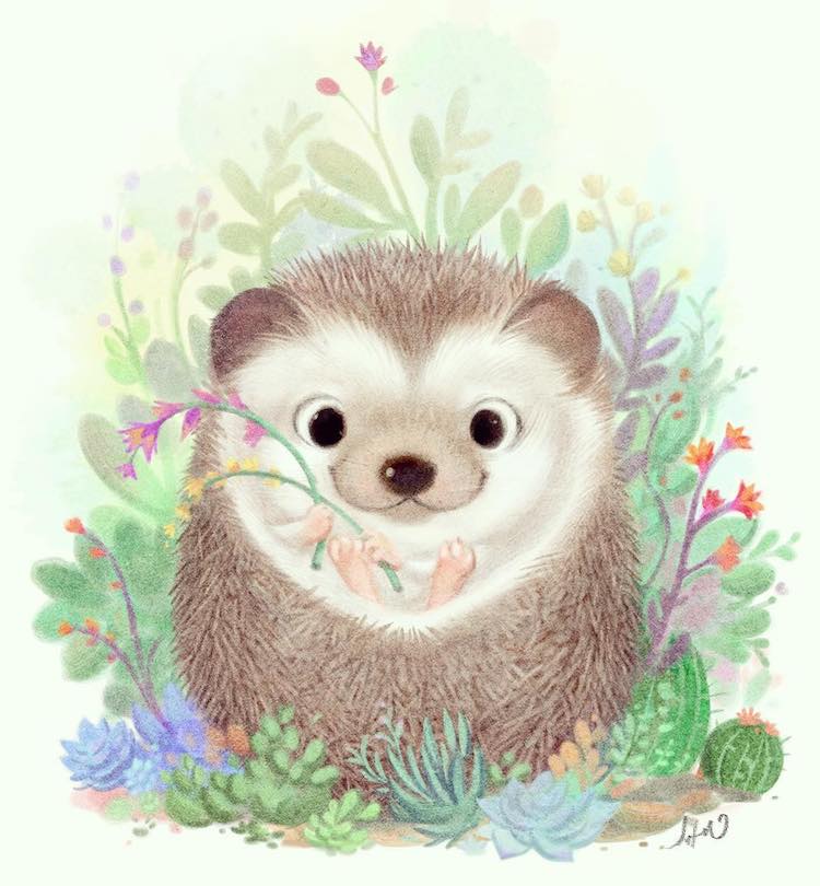 Animal Illustrations by Sydney Hanson