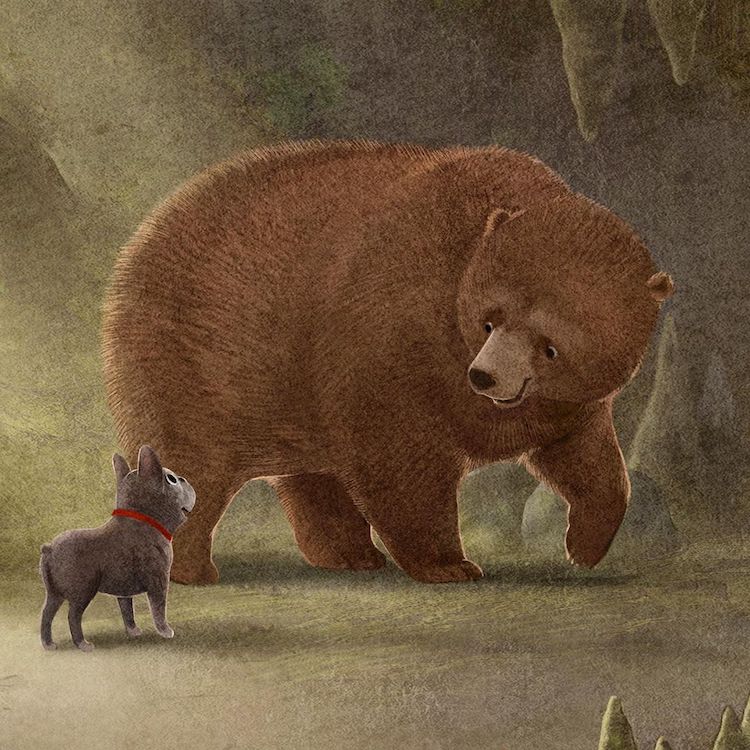 Sidnėjaus Hansono gyvūnų iliustracijos
