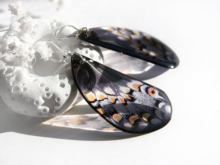 Butterfly Wing Resin Earrings by Tomka Store