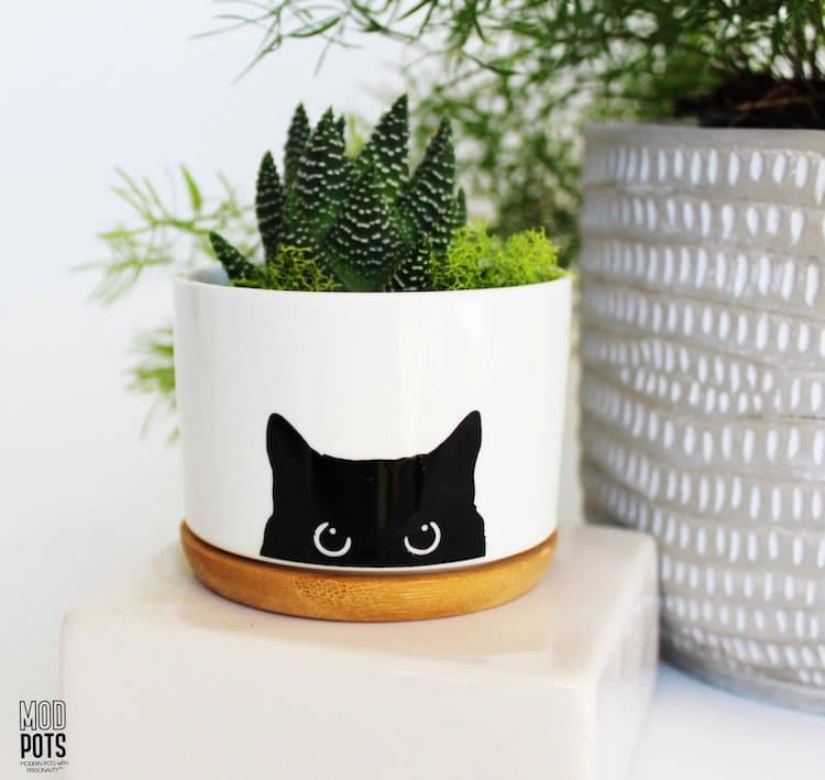 cute ceramics cat planter