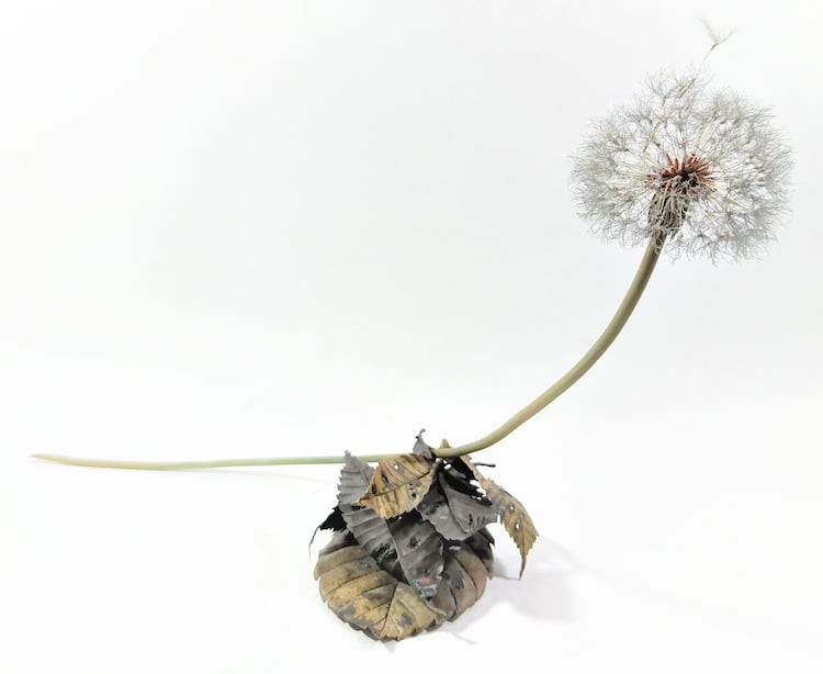 Metal Dandelion Sculptures by Shota Suzuki