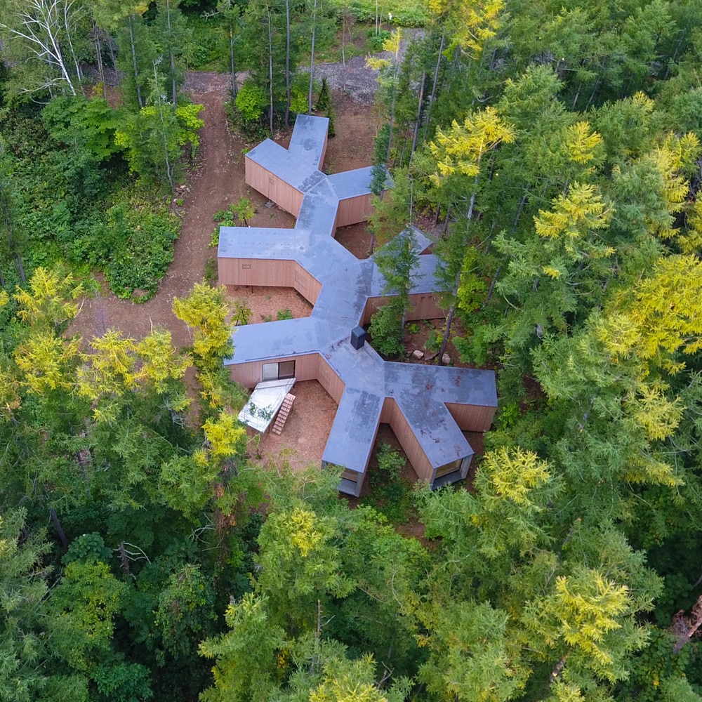Architects Design “House in the Forest” In the Shape of Tree Branches