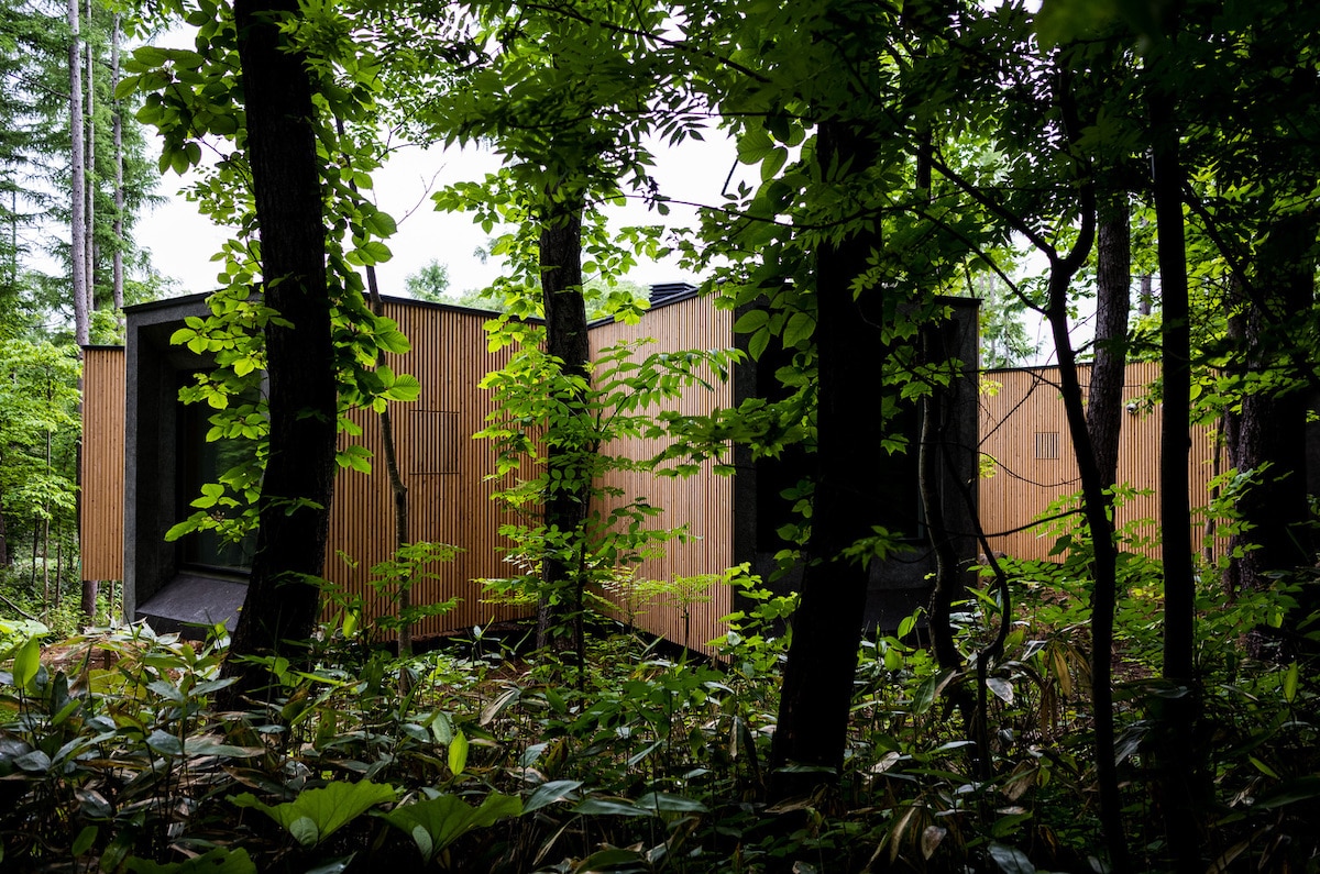 Architects Design “House in the Forest” In the Shape of Tree Branches