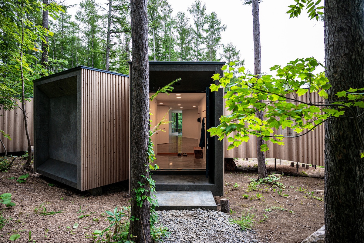 Architects Design “House in the Forest” In the Shape of Tree Branches