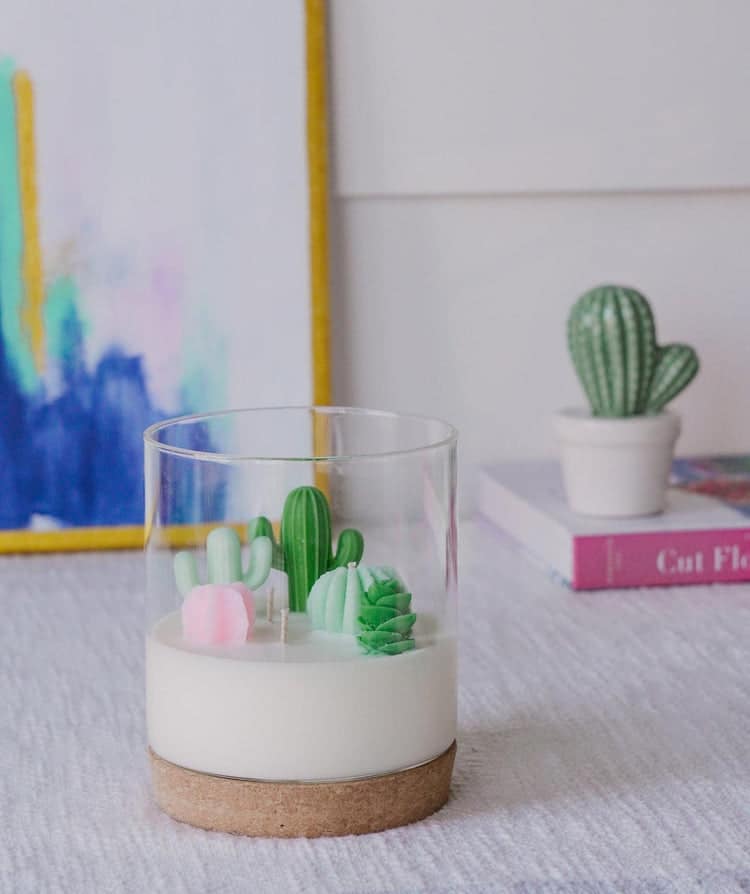 Cacti and Succulents Three Wick Candle