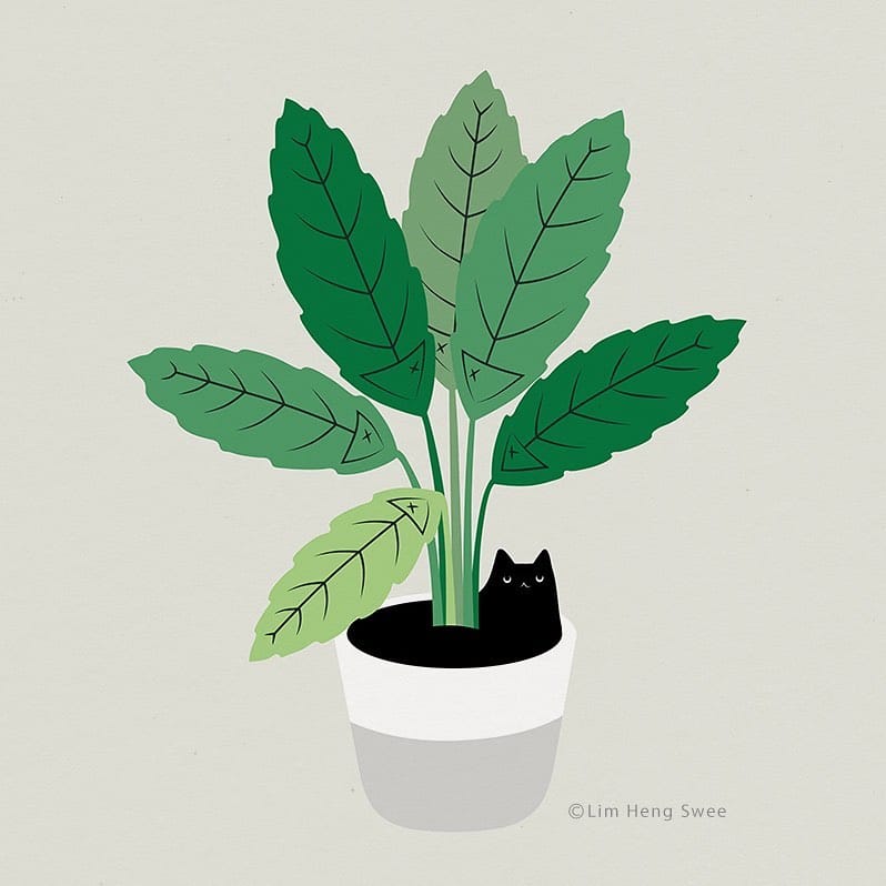 Illustrations de chats et de plantes par Lim Heng Swee