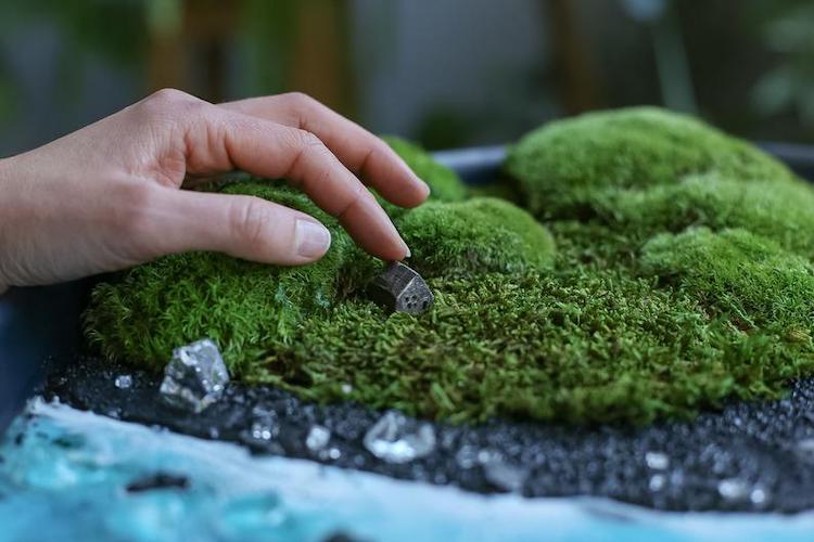 Moss and Resin Wall Art by Anna Paschenko 