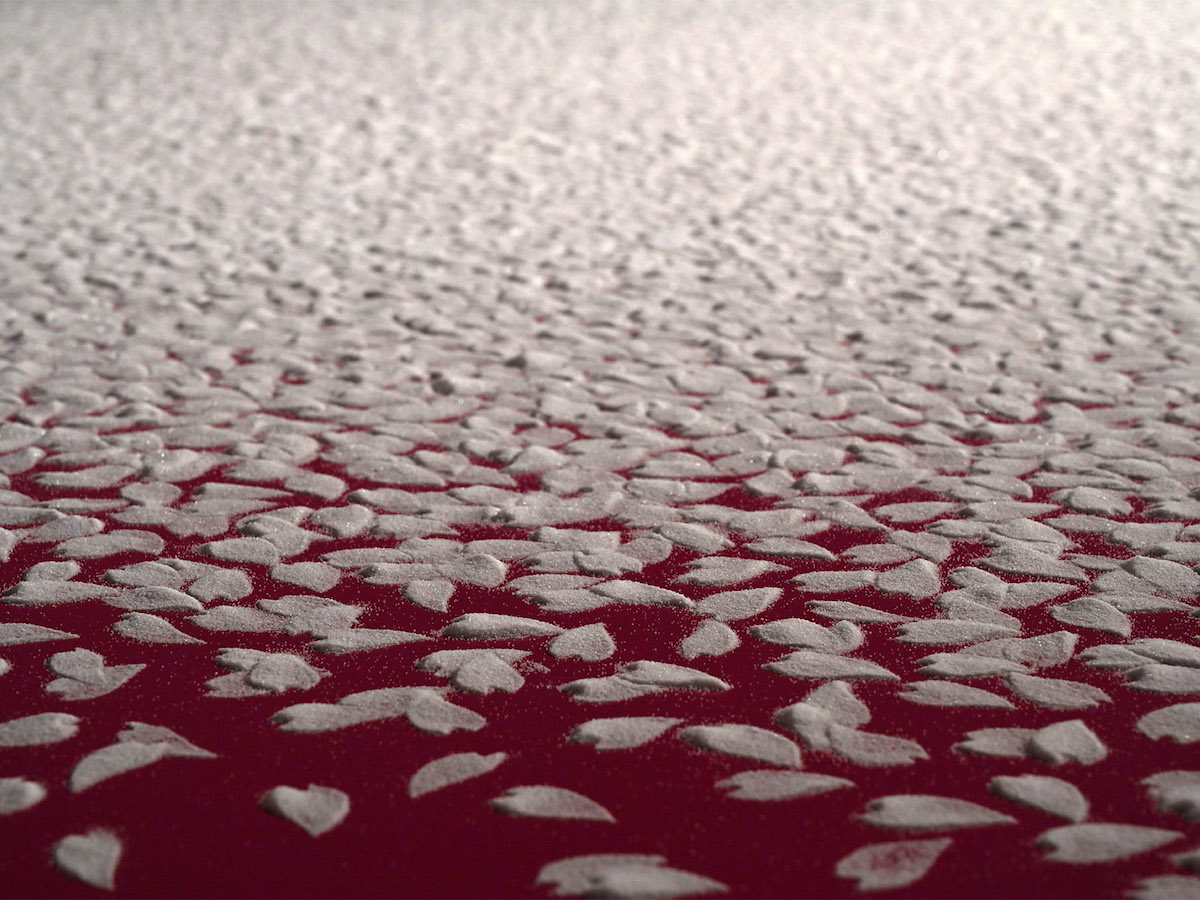 Installation de sel de pétales de fleurs de cerisier Motoi Yamamoto